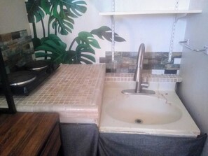 Private kitchen - peaceful, private downtown studio (Libby)