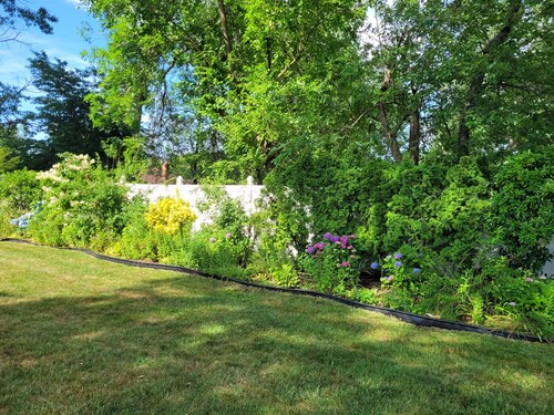Cozy 1-bedroom apartment in nice West Hempstead  - Spacious and comfortable
