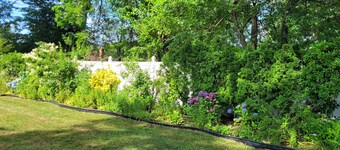 Cozy 1-bedroom apartment in nice West Hempstead - Spacious and comfortable