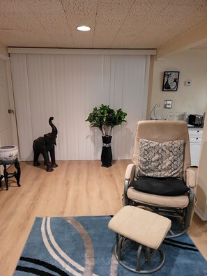 A room with a sliding door, a potted plant, a chair with a patterned cushion, a small table, and a blue rug.