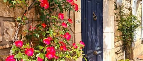 A stone building with a blue door, a sign above the door, and a flowering plant in front.