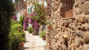 Une ruelle étroite pavée, bordée de bâtiments en pierre dotés de balcons et de plantes en pot.