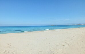 Ein Strand mit klarem, blauem Wasser, einem sandigen Ufer und einer entfernten Insel.