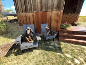 Two Adirondack chairs with a dog sitting on one. - The Backyard Hideout (Mancos)
