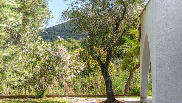 Un sentiero in pietra conduce a un edificio bianco con un albero al centro.