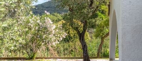 Un sendero de piedra que lleva a un edificio blanco con un árbol en el centro.