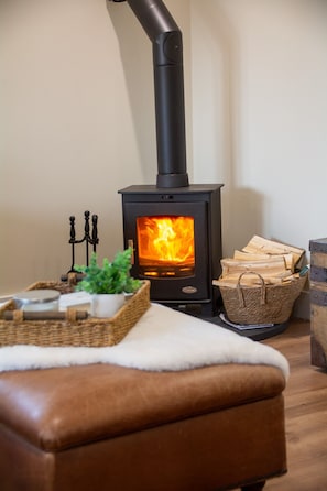 Ein Zimmer mit Kaminofen, gepolstertem Sitzplatz, Holzkorb und einer kleinen Topfpflanze.