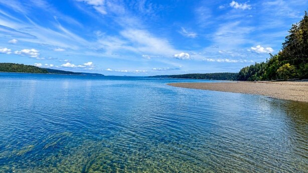 A clear view of a calm lake with a sandy beach and forested areas on the right.