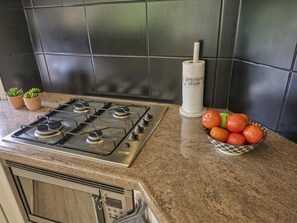 A kitchen with a gas stove, a roll of paper towels, and a bowl of fruit on the counter. - Beautiful chalet in the middle of the forests (Garderen)
