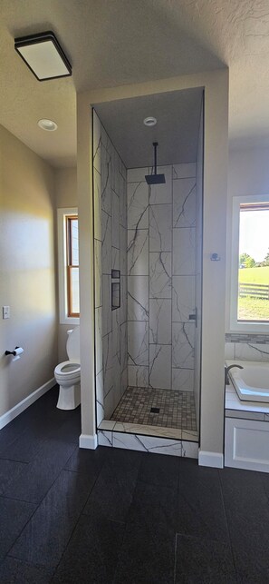 A bathroom with a walk-in shower, a toilet, and a sink.