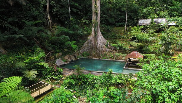Una piscina natural rodeada de un bosque frondoso, con un puente de madera que la cruza.