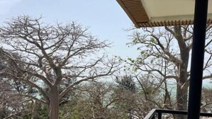 A balcony with a railing, a view of trees, and a grassy area.