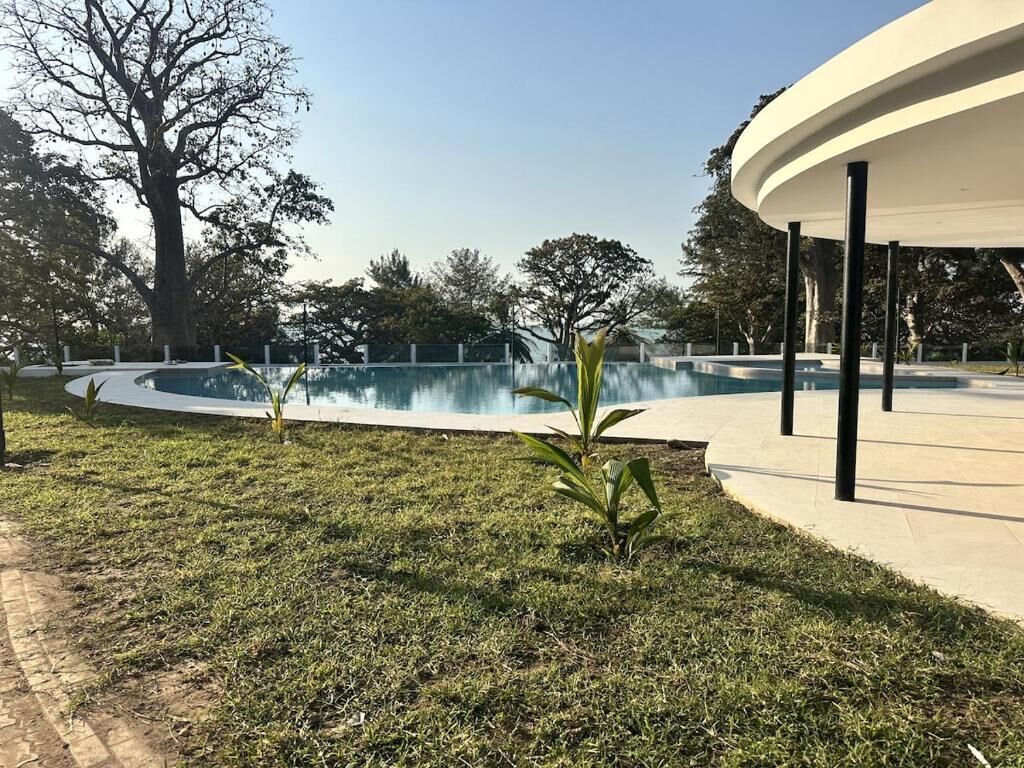 Zona de piscina con una estructura curva, rodeada de césped y árboles.