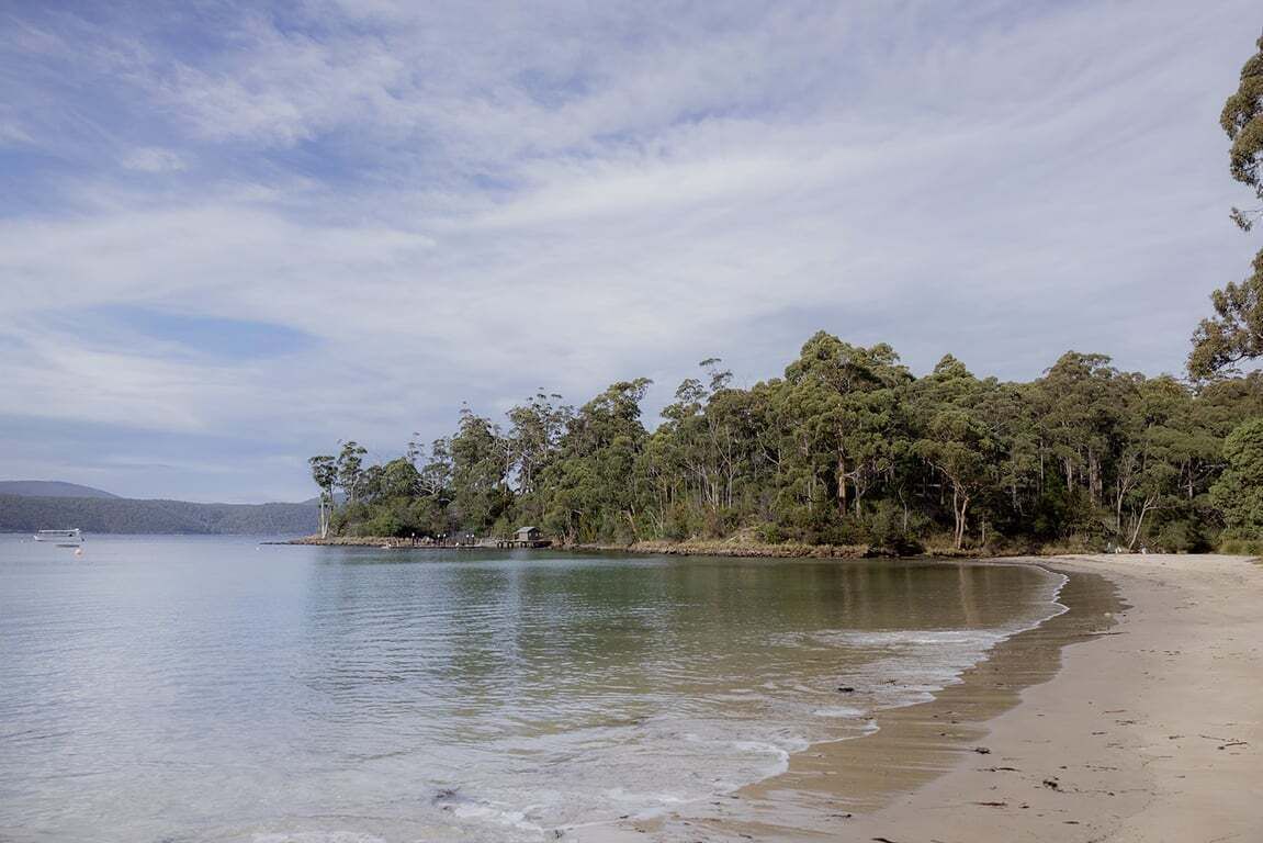 Una spiaggia con acqua calma, alberi e cielo sereno.