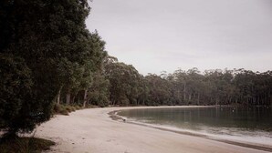 A sandy beach with dense trees in the background. - Stewie's Nest - Port Arthur Shack with fire pit (Tasman)