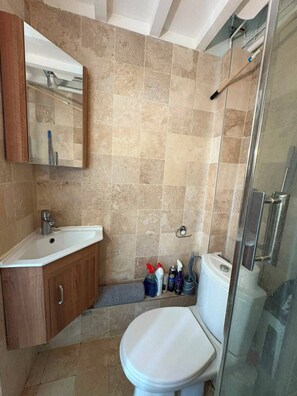 Shower, towels, soap, toilet paper - Cozy Studio on the Champs-Élysées (Paris)