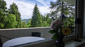 Dining - Vrbo Property (Goslar)