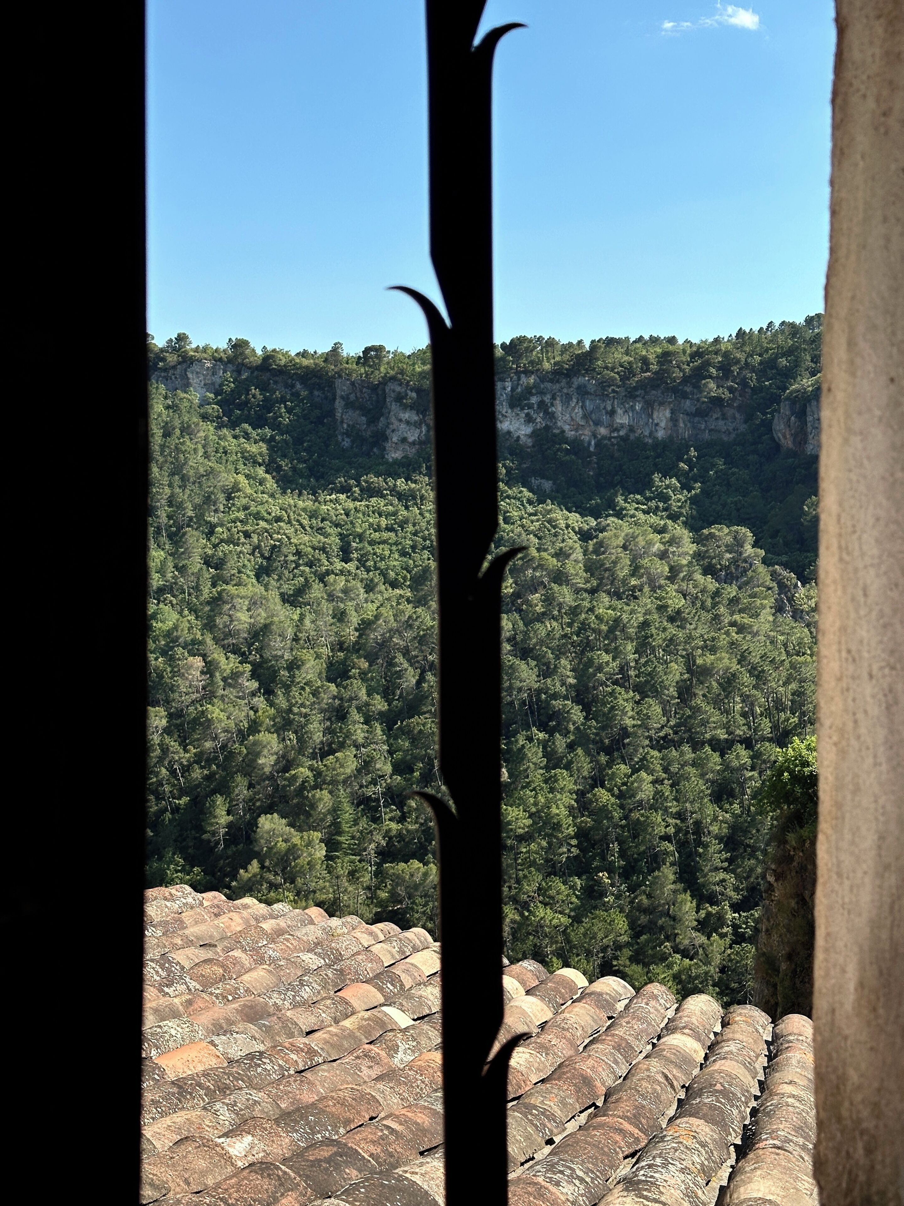A view through a window with a patterned roof, a forested hillside, and a cliff in the background.