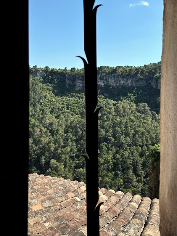 Vista a través de una ventana con techo estampado, una ladera boscosa y un acantilado al fondo.
