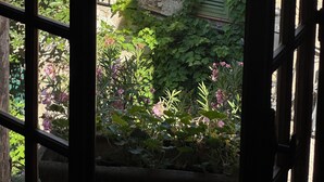 A view through a window with a stone wall and green shutters, with plants and flowers visible outside.