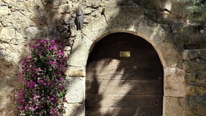A stone wall with a wooden door, a green planter with pink flowers, and a potted plant.
