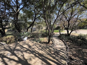 A paved pathway surrounded by trees and shrubs, leading to a distant building. - Barbet Room - Staynest Guesthouse (Chartwell)