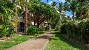 A pathway leading to a building surrounded by lush greenery and palm trees. - 2 2 New Designer Beachside Resort Vistas (Kihei)
