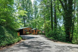A cabin with a gravel driveway, surrounded by dense forest. - Cozy Little Cabin to Make Lasting Memories (Franklin)