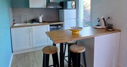 Air-conditioned, renovated one-bedroom apartment 200 meters from the sea, with a garden and bicycles
