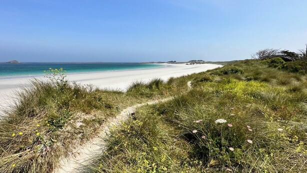 Ein Strandweg führt zu einem Sandstrand mit klarem, blauem Wasser und weither entfernten Landformen.