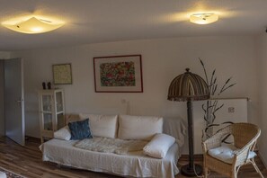 Smart-TV, Kamin, Bücher, Stereoanlage
