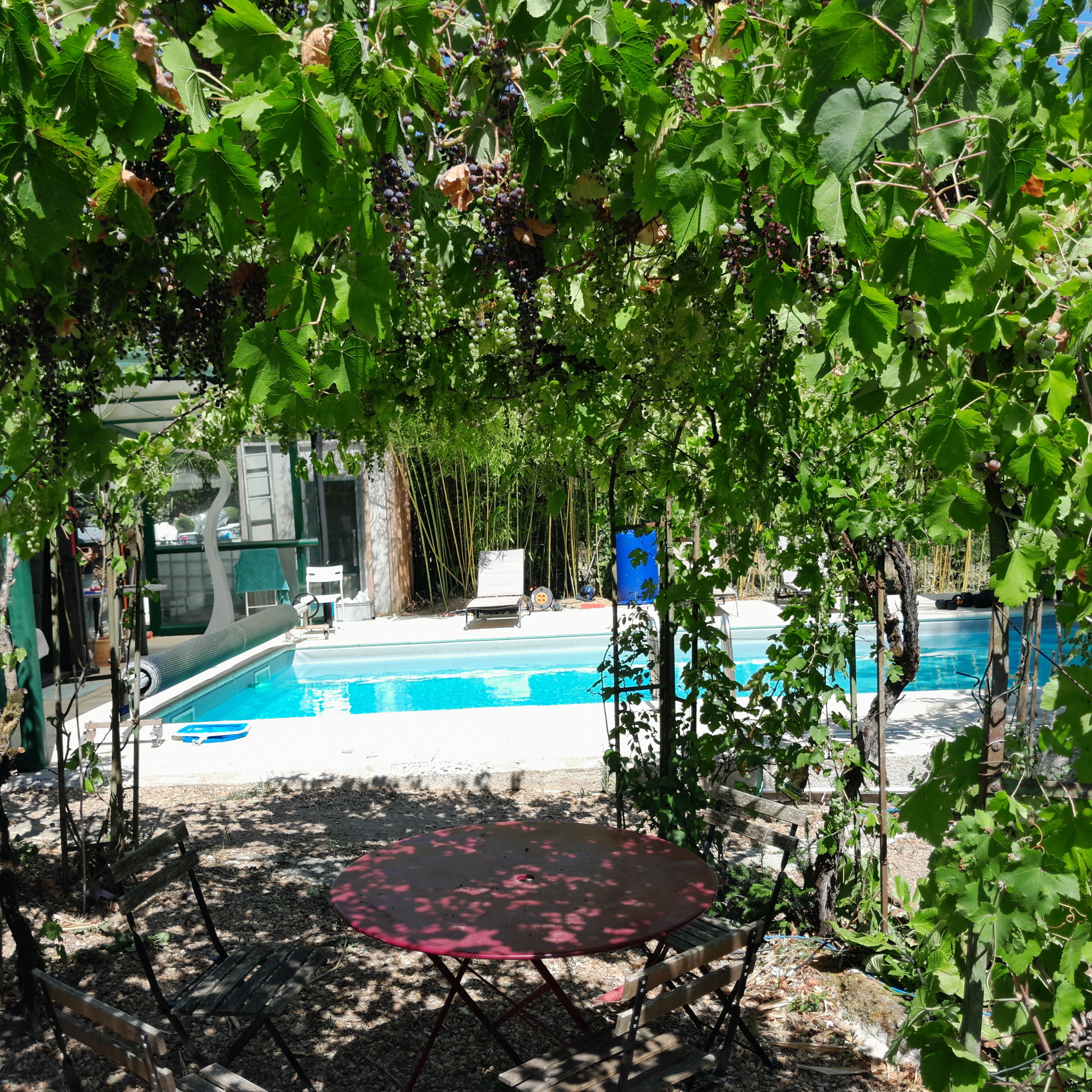 Un espace piscine agrémenté d’une table et de chaises, entouré de verdure et doté d’un coin salon abrité.