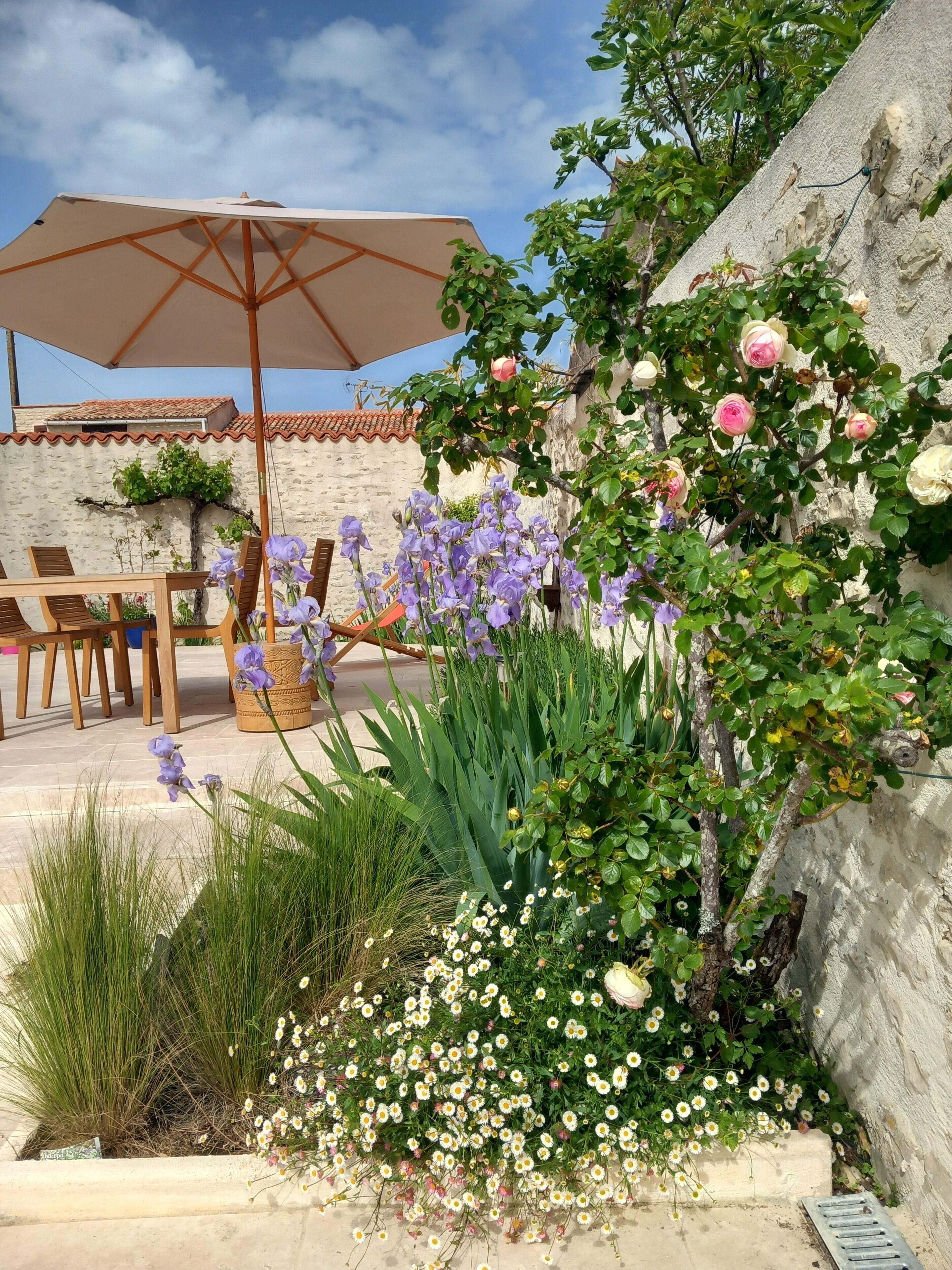 A patio with outdoor furniture, a large umbrella, and a variety of plants including roses and daisies.