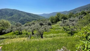 Un paysage montagneux, avec des arbres et un ciel dégagé.