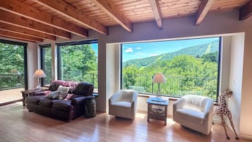 Smart-TV, Kamin