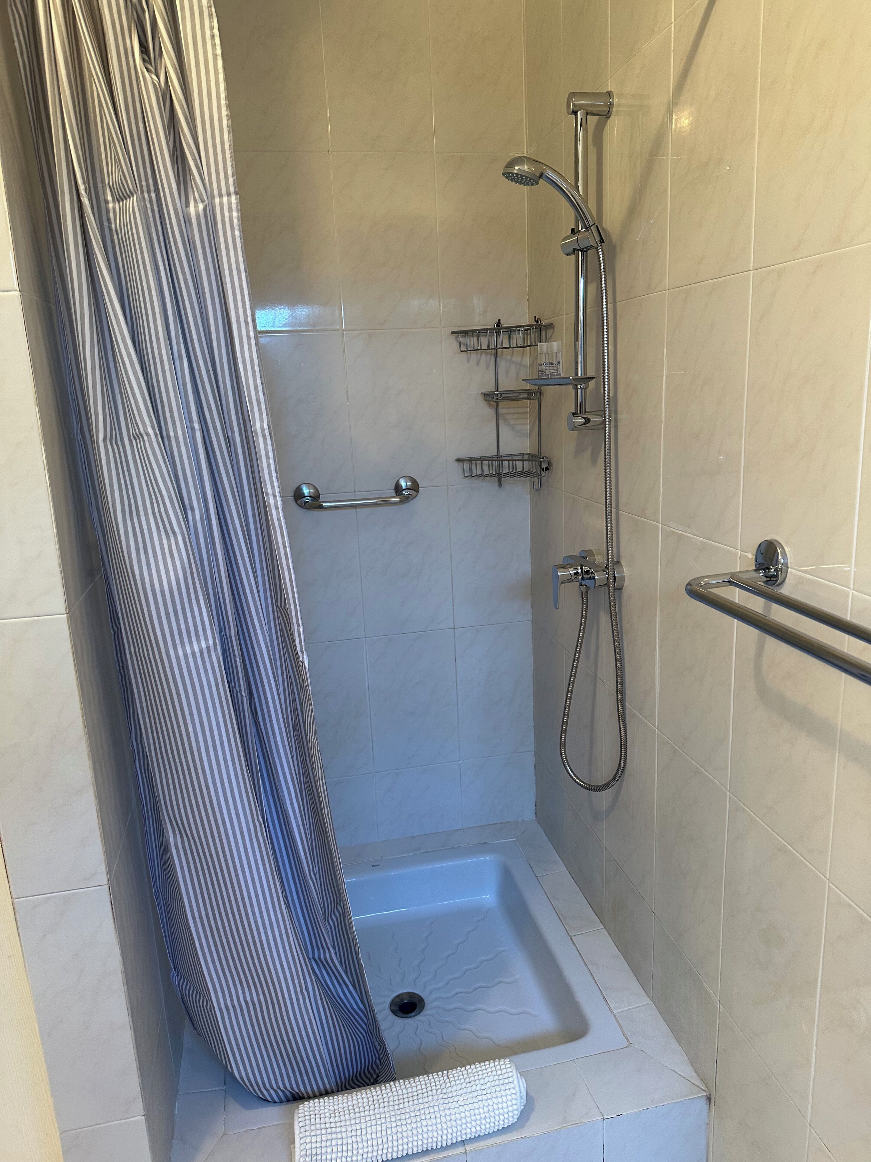Un espace douche équipé d’une barre d’appui, d’un pommeau de douche et d’un flexible de douche.
