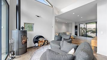 Smart TV, fireplace, books