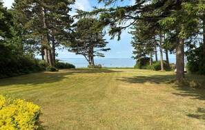 A grassy area with trees and a view of the water.