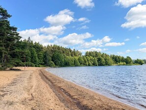 A sandy beach with a forested shoreline and a clear sky. - 4 Star Holiday Home in Hindas (Hindas)