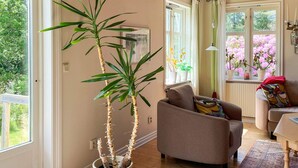 A cozy living room with a large potted plant, a comfortable sofa, and a view of blooming flowers through the windows. - 4 Star Holiday Home in Hindas (Hindas)