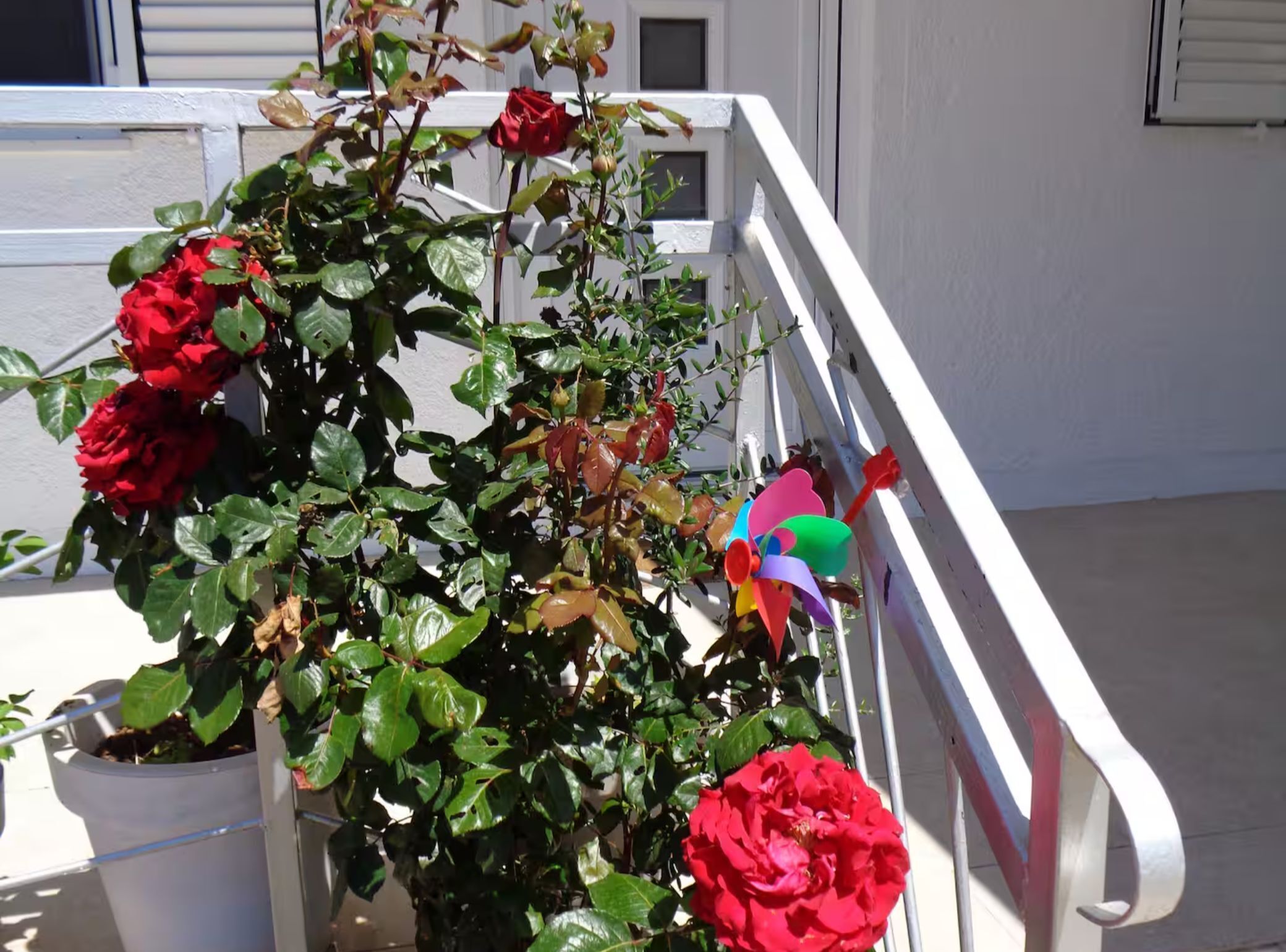 Ferienhaus (Holiday Home Sunny Retreat - With Ter) | Terrasse/Patio