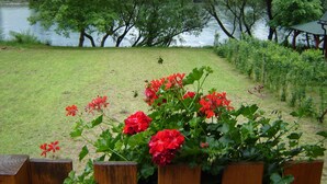 A garden with red flowers and a wooden bench.