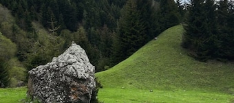 Eco house in beautiful village near Borjomi for a relaxing getaway