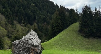Eco house in beautiful village near Borjomi for a relaxing getaway