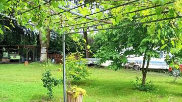 Un jardín con una pérgola, un poste de madera y una estructura blanca al fondo.