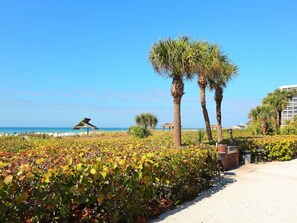 A pathway leading to a beach with palm trees and a thatched-roof structure. - 1255-503 Standard Plus - Spacious Bay Side Retreat with Pool & Slight Gulf Views (Siesta Key)