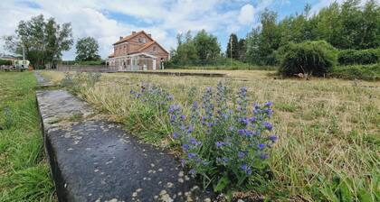 Grande maison, animaux admis - 16 pers.