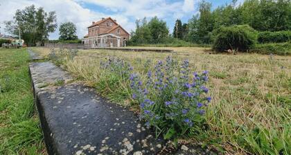 Large house, pets allowed - 16 guests