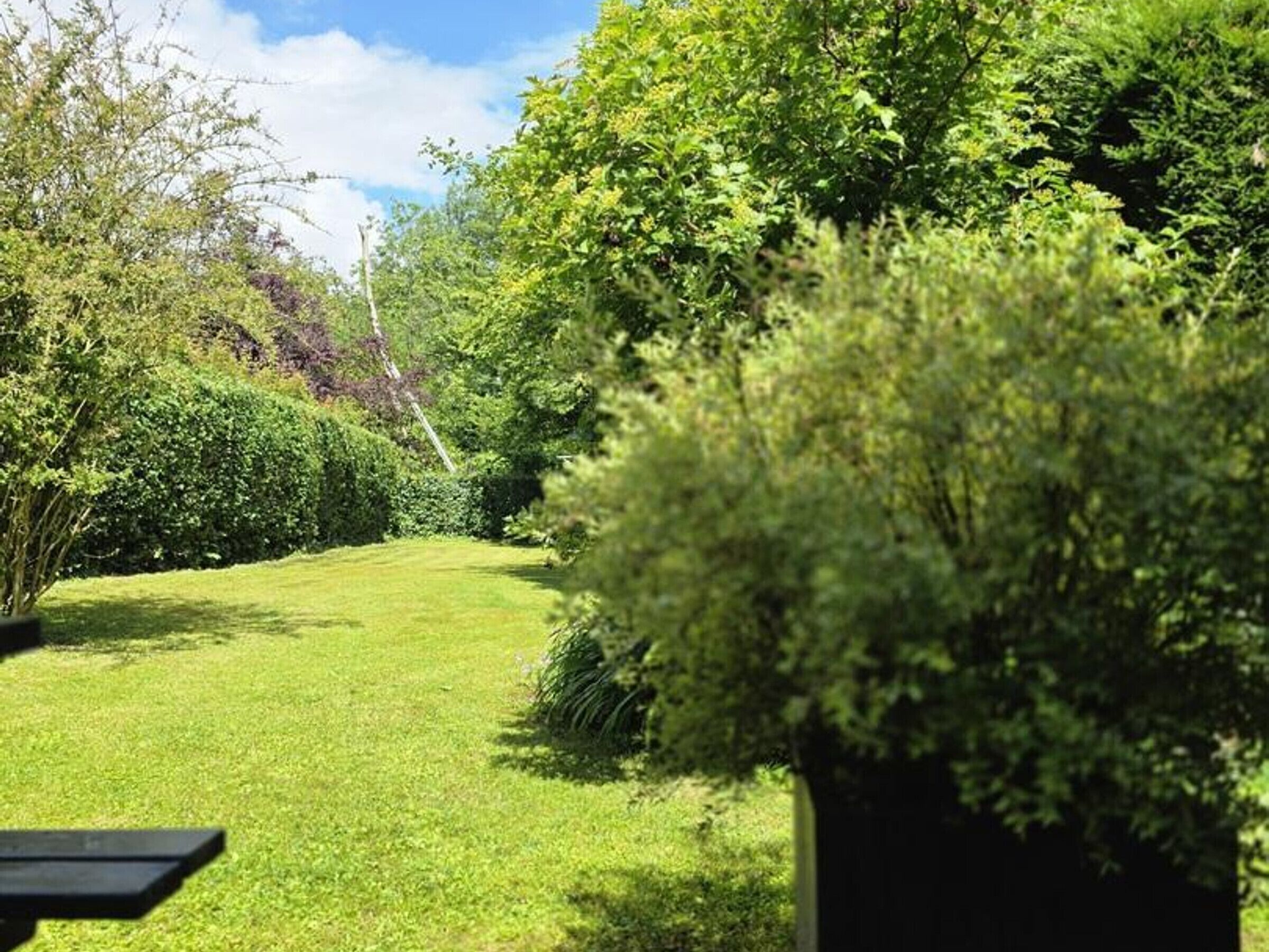 Een verzorgd gazon met een picknicktafel, omringd door dichte struiken en bomen.