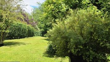 Een verzorgd gazon met een picknicktafel, omringd door dichte struiken en bomen.